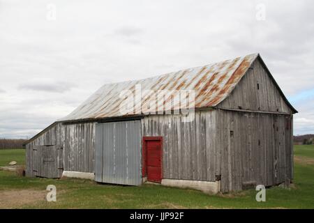 Grigio vecchio granaio di legno nel paesaggio rurale con porta rossa Foto Stock