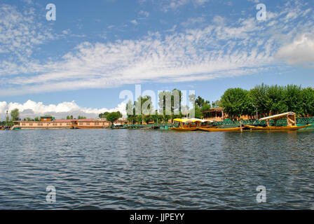 Dal lago, Srinagar, Jammu e Kashmir India Foto Stock