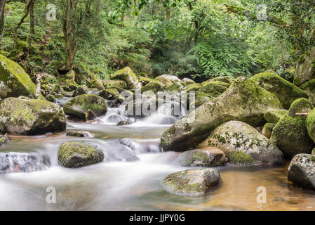 Una lunga esposizione foto del fiume Plym in Devon Foto Stock