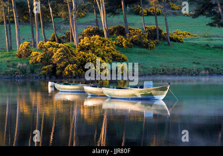 Tre canottaggio/barche da pesca su un misy mattina a Knapp di Loch, Kilmacolm, Scozia. Foto Stock