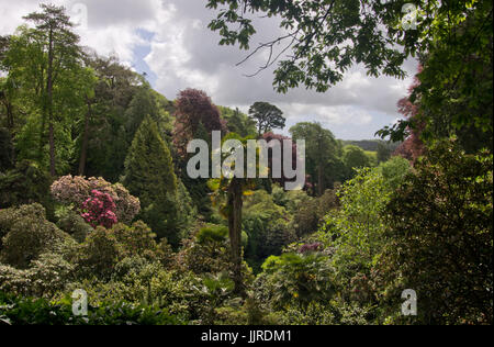 Giardini Trebah Foto Stock