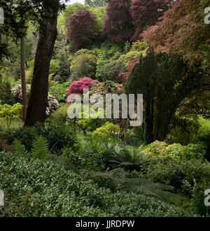 Giardini Trebah Foto Stock