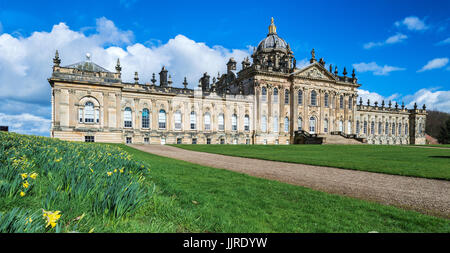 La molla dafodils al Castle Howard Foto Stock