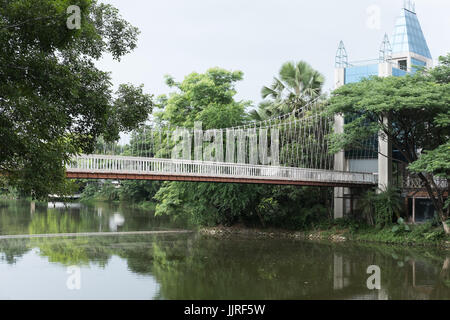 Vista panoramica della zona pedonale ponte di sospensione o di acciaio passerella pedonale sospesa sopra il lago Foto Stock