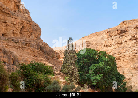 Wadi Qelt nel deserto della Giudea intorno a San Giorgio monastero ortodosso, o il monastero di San Giorgio di Choziba, Israele Foto Stock