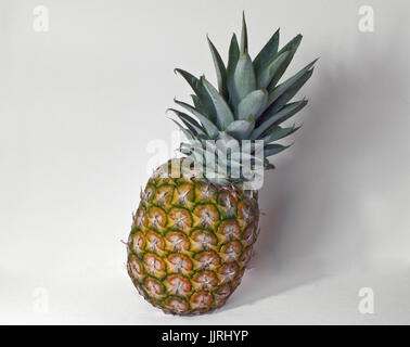 Ananas intero Foto Stock