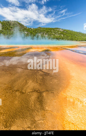 I vivaci colori arcobaleno del Grand Prismatic Spring nel Parco Nazionale di Yellowstone, Wyoming Foto Stock