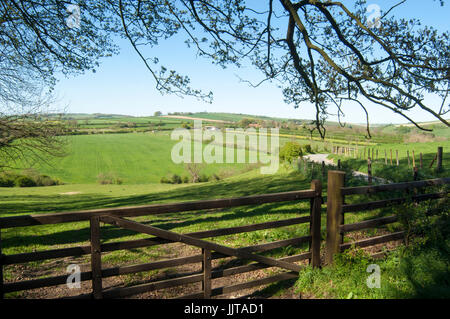 Yorkshire wolds REGNO UNITO Foto Stock