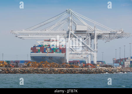 Nave Container, COSCO America, carico sulla banchina 247 alla lunga spiaggia di terminal per container, California, Stati Uniti d'America. Foto Stock