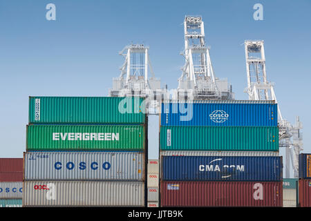 Contenitori impilati a Long Beach Container Terminal, California, USA. Foto Stock