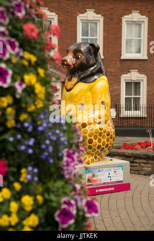 Il grande Sleuth Honeybear Birmingham Sutton Coldfield Estate 2017 Foto Stock