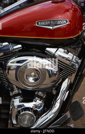 Close-up di una Harley Davidson Road King a bikers' rally, Piazza Castello, Ludlow, Shropshire, Inghilterra, Regno Unito Foto Stock