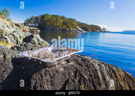 Grill monouso. Foto Stock