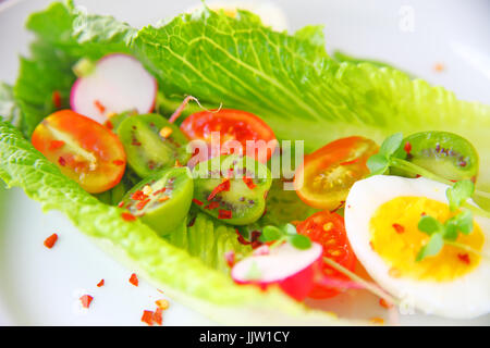 Insalata di romaine foglie, uova sode, pomodori ciliegini, ravanelli e baby kiwi con peperoncino rosso Foto Stock