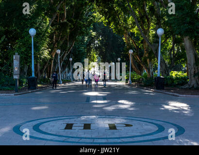 Hyde Park Sydney Australia Foto Stock