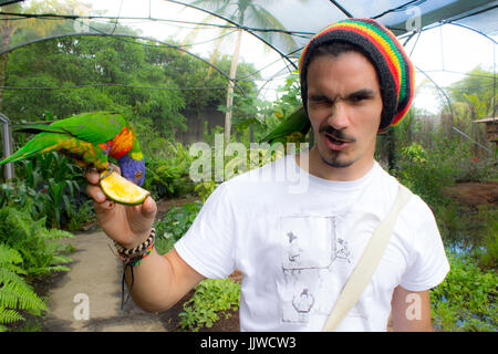 Un uomo con due Rainbow parrocchetti Foto Stock