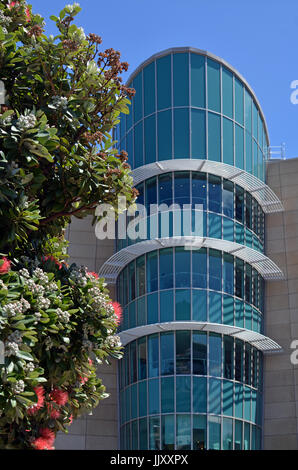 Dettaglio della Nuova Zelanda Te Papa Tongarewa Museum building a Wellington. In primo piano è la Nuova Zelanda il fiore nazionale, Pohutukawa all inizio di SPR Foto Stock