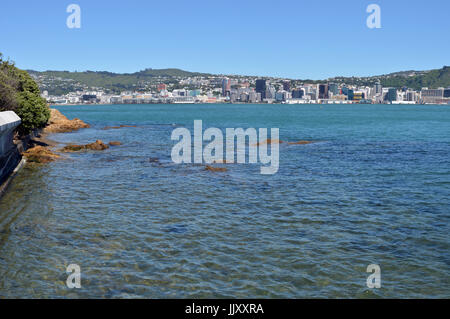 Wellington Harbour & città verticale di mattina presto Panorama in primavera. In fondo è il Wellington City Waterfront e centro business dist Foto Stock