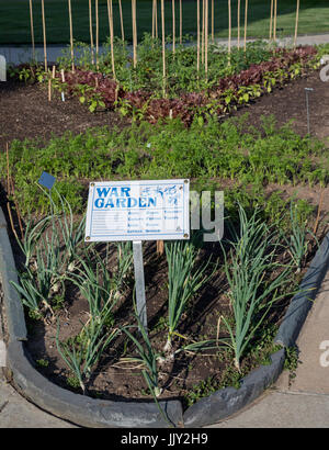 Washington, DC - una "guerra garden' piantato al di fuori della Biblioteca del Congresso simile a giardini piantati durante la guerra mondiale I. Il giardino è stato creato da un Foto Stock