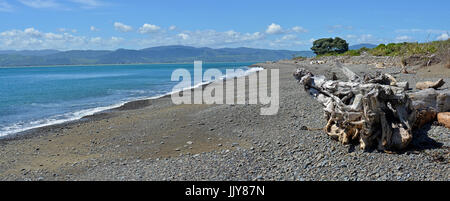 Vista panoramica della Costa di Kapiti da Kapiti Island Bird Sanctuary. In primo piano è drammatica driftwood. In fondo è Paraparaumu, Waika Foto Stock