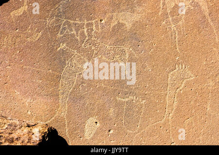 Incisioni rupestri fatte da antiche tribù di Damaraland in Twyfelfontein, trova la Namibia, Africa. Foto Stock