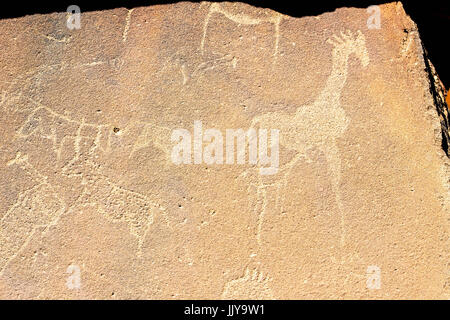 Incisioni rupestri fatte da antiche tribù di Damaraland in Twyfelfontein, trova la Namibia, Africa. Foto Stock