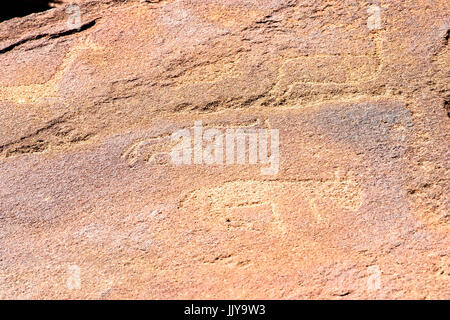 Incisioni rupestri fatte da antiche tribù di Damaraland in Twyfelfontein, trova la Namibia, Africa. Foto Stock