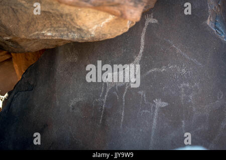 Incisioni rupestri fatte da antiche tribù di Damaraland in Twyfelfontein, trova la Namibia, Africa. Foto Stock