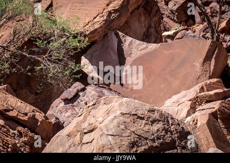 Incisioni rupestri fatte da antiche tribù di Damaraland in Twyfelfontein, trova la Namibia, Africa. Foto Stock