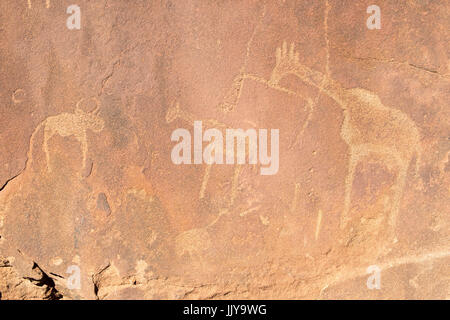 Incisioni rupestri fatte da antiche tribù di Damaraland in Twyfelfontein, trova la Namibia, Africa. Foto Stock