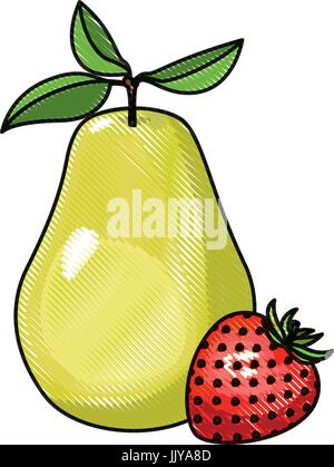 Matita colorata silhouette set di frutta pera e fragola Illustrazione Vettoriale