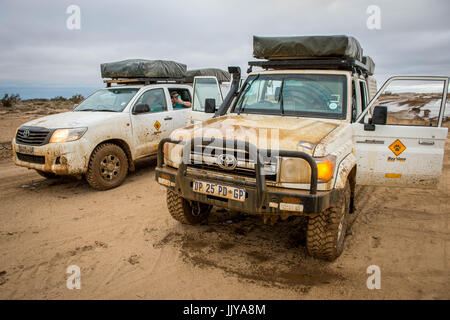 Trasporto di veicoli turistici lungo la guida della Namibia Skeleton Coast, Africa. Foto Stock