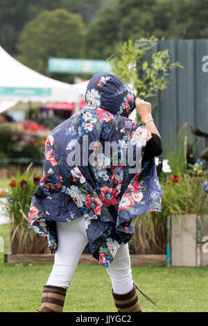 RHS Tatton Park Flower Show, Knutsford, Cheshire. Regno Unito meteo. Il 21 luglio 2017. Venti forti e pesanti rovesci acqua i giardinieri di frequentare questo anni floral masterclass presso il Royal Horticultural Society's Tatton Park Flower Show 2017. I visitatori possono immergersi nella bellezza, il profumo ed il colore del rettangolo di selezione floreale & Pianta Village. Una nuova aggiunta ai giardini spettacolari sul display è il 'Butterfly Dome' dove gli ospiti possono passeggiare attraverso il paradiso tropicale riempito con farfalle esotiche. Credito: Cernan Elias/Alamy Live News Foto Stock