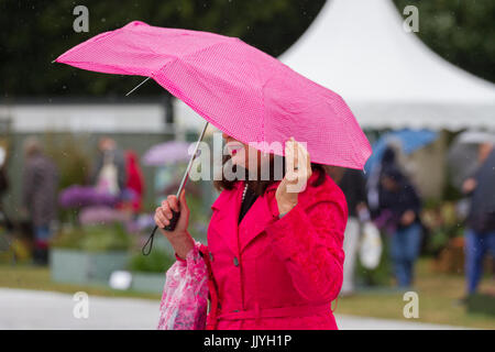 Knutsford Cheshire, UK. 21 Luglio, 2017. Regno Unito Meteo. Heavy Rain e docce prolungate attese, per Signore giorno a Tatton Park flower show. Credito; MediaWorldImages/AlamyLiveNews. Foto Stock