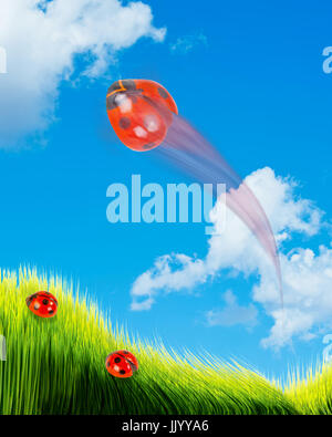 Lady bug battenti con una stanza per il tipo. Foto Stock