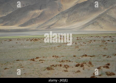 Pangong Tso Foto Stock