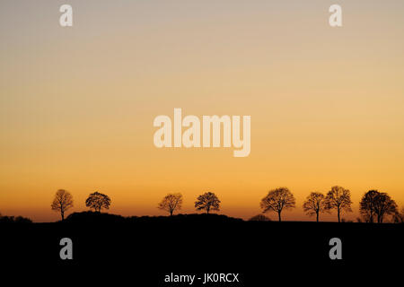 In Germania, in Renania settentrionale-Vestfalia, Rheinisch-Bergischer circle, scegliendo il tramonto, Deutschland, NRW, Rheinisch-Bergischer Kreis, Kuerten, Sonnenuntergan Foto Stock