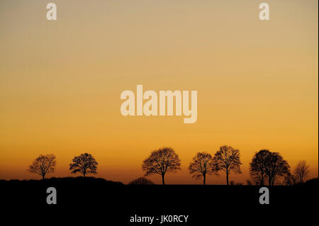 In Germania, in Renania settentrionale-Vestfalia, Rheinisch-Bergischer circle, scegliendo il tramonto, Deutschland, NRW, Rheinisch-Bergischer Kreis, Kuerten, Sonnenuntergan Foto Stock