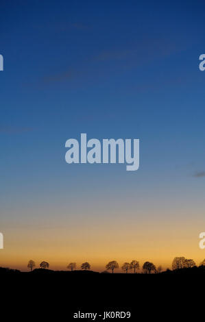 In Germania, in Renania settentrionale-Vestfalia, Rheinisch-Bergischer circle, scegliendo il tramonto, Deutschland, NRW, Rheinisch-Bergischer Kreis, Kuerten, Sonnenuntergan Foto Stock