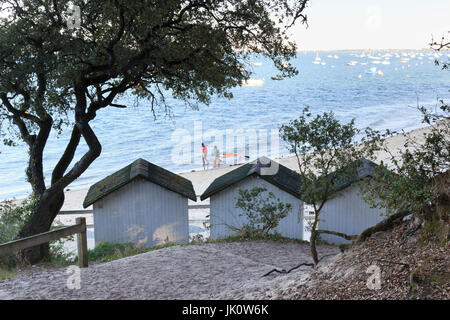 Francia, Vendée (85), île de Noirmoutier, Noirmoutier-en-lÎle, plage au Bois de la Massimiliano // Francia, Vendee, isola di Noirmoutier, Noirmoutier en lIle Foto Stock