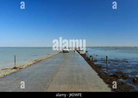 Francia, Vendée (85), île de Noirmoutier, entre Barbâtre et Beauvoir-sur-Mer, le passage du Goisa // Francia, Vendee, isola di Noirmoutier, tra Bar Foto Stock