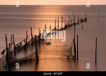 Impostare le reti nel fango appartamenti sull'isola di Texel, Paesi Bassi, Stellnetze im Wattenmeer auf der Insel Texel, Niederlande Foto Stock