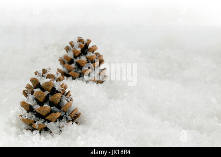 Coni Fir in una semplicistica composto scena di neve con copia spazio per aggiungere un messaggio personalizzato se richiesto Foto Stock