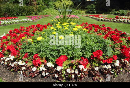 Impianto vittoriano letti con le calendule e begonie nel giardino in stile vittoriano a Sheffield Botanical Gardens, Sheffield South Yorkshire in luglio Foto Stock