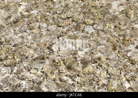 Texture acqua sfondo. Foto Stock