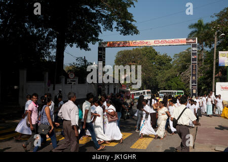 Il trasporto centrale di Kandy provincia dello Sri lanka Foto Stock