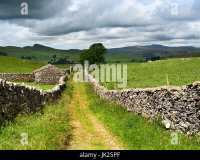 Visualizza in basso cicatrice di capra Lane sopra Stainforth a Smearsett cicatrice e Stainforth Ingleborough Ribblesdale Yorkshire Dales Inghilterra Foto Stock