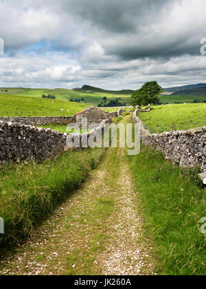 Vista lungo la cicatrice di capra Lane Near Stainforth attraverso Ribblesdale di cicatrice Smearsett Yorkshire Dales Inghilterra Foto Stock