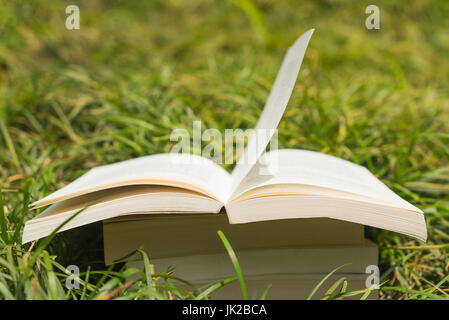 Pila di libri in erba con libro aperto sulla parte superiore del palo Foto Stock