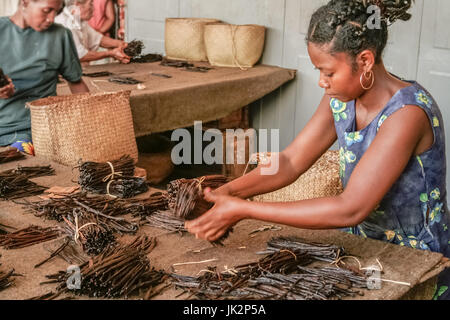 Sambava, Madagascar, Jan 14 : lavoratori malgascio la fabbricazione di vaniglia in un misterioso laboratorio artigianale nei pressi di Sambava, Madagascar il 12 gennaio 2017 Foto Stock